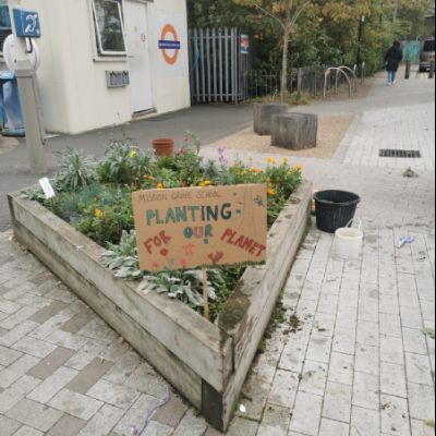 Planting for our planet