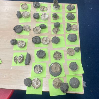 Making Fossils!